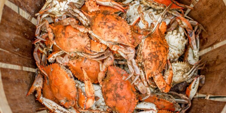 Usaha Meningkatkan Ekspor Kepiting dan Rajungan Indonesia di Pasar Asia