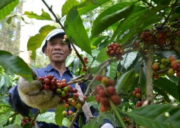 Intip Komoditi Utama Ekspor Indonesia Ini