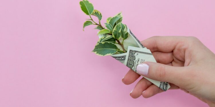 tips mengelola pinjaman