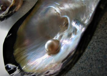 mutiara, ekspor mutiara