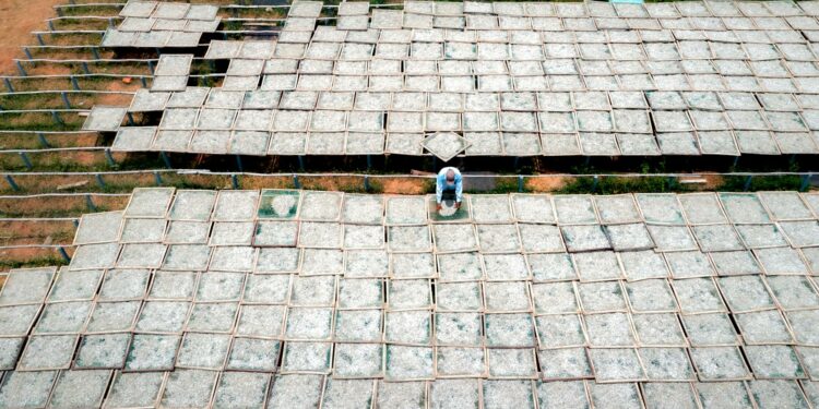 Belajar dari Vietnam: Strategi Ekonomi To Lam, Kunci Sukses Prabowo?