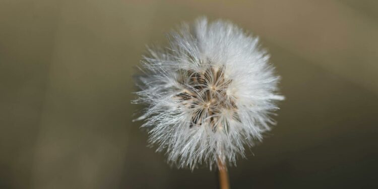 Transformasi TI Tanpa Gejolak: AI dan Disiplin Layanan Kunci Membangun Kepercayaan