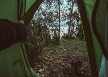 Genggaman Gawai Mengikat Kita: Mampukah Kita Meraih Kembali Kemerdekaan Diri?