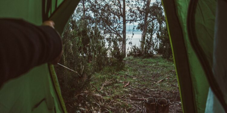 Genggaman Gawai Mengikat Kita: Mampukah Kita Meraih Kembali Kemerdekaan Diri?