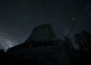 Tragedi Sydney Harbour: Keluarga Korban Serangan Hiu Bersiap Hadapi Kemungkinan Terburuk