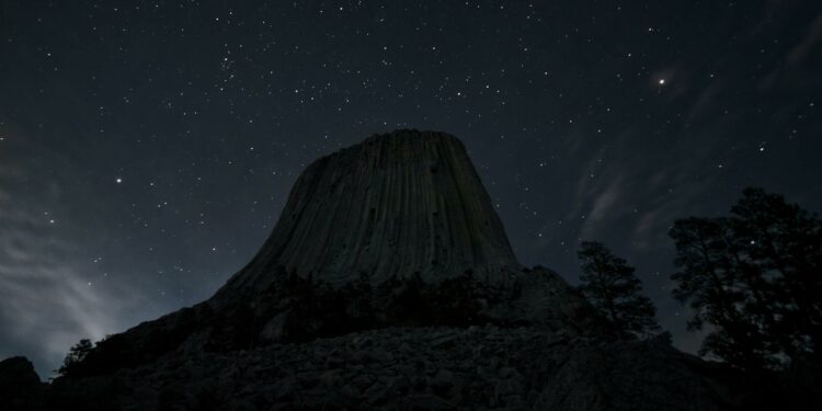 Tragedi Sydney Harbour: Keluarga Korban Serangan Hiu Bersiap Hadapi Kemungkinan Terburuk