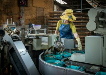 Didero Raih Pendanaan Rp 460 Miliar untuk Otomatisasi Pengadaan Manufaktur