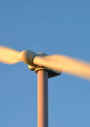 Bosan dengan Dominasi Big Tech? Ini Alternatif Unggul untuk Google, Amazon, X, dan Meta