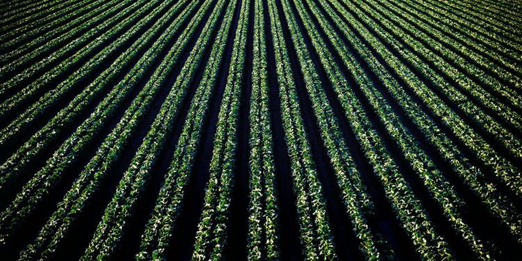 Petani AS Tolak Tawaran Miliaran Dolar: ‘Tanah Saya Bukan untuk Dijual’ Hadapi Serangan Pusat Data