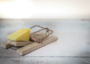 Inovasi yang Terjebak: Kala Sistem Feodal dan Meritokrasi Menghambat Kemajuan Digital