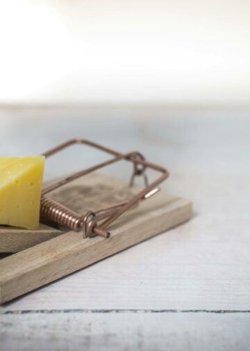 Inovasi yang Terjebak: Kala Sistem Feodal dan Meritokrasi Menghambat Kemajuan Digital