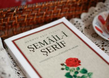 Pilihan Privasi Digital: Mengelola Data Anda di Era Raksasa Teknologi