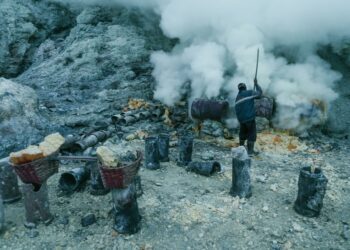 AI Revolusioner: Bukan Software, Tapi Sumber Daya Fisik yang Akan Mendominasi Pasar