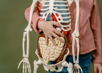 Terobosan Ilmiah: Jaringan Saraf Klitoris Berhasil Dipetakan Sepenuhnya, Mengubah Pemahaman Anatomi Wanita