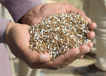 Urea Indonesia Jadi Rebutan: Australia & India Lirik Pasokan di Tengah Krisis Global