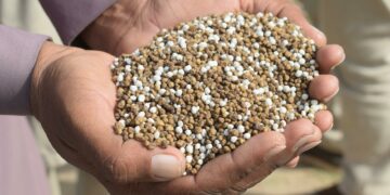 Urea Indonesia Jadi Rebutan: Australia & India Lirik Pasokan di Tengah Krisis Global