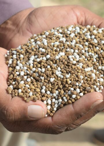 Urea Indonesia Jadi Rebutan: Australia & India Lirik Pasokan di Tengah Krisis Global